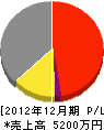 倉澤組 損益計算書 2012年12月期