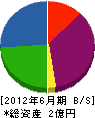 藤起 貸借対照表 2012年6月期