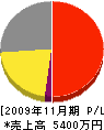 松勝土木 損益計算書 2009年11月期