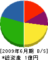 桝井組 貸借対照表 2009年6月期