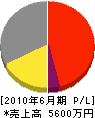 秋山電気商会 損益計算書 2010年6月期