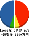 厚峰 貸借対照表 2009年12月期