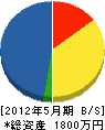 丸東企画 貸借対照表 2012年5月期