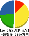 瀬戸試錐 貸借対照表 2012年6月期