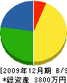 中村電機商会 貸借対照表 2009年12月期