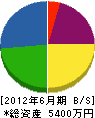 秋山電気商会 貸借対照表 2012年6月期