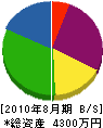 渡辺工務店 貸借対照表 2010年8月期
