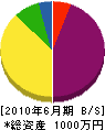 永井建塗工業 貸借対照表 2010年6月期