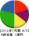 瀬戸内ライン工業 貸借対照表 2012年7月期