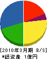 細井技研工業 貸借対照表 2010年3月期