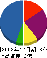 三輝 貸借対照表 2009年12月期