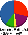 龍王 貸借対照表 2011年9月期