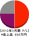 京亜 損益計算書 2012年3月期