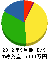 山川建設 貸借対照表 2012年9月期
