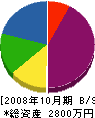 セイケン塗装 貸借対照表 2008年10月期