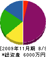 安田建設 貸借対照表 2009年11月期