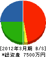 松口工務店 貸借対照表 2012年3月期