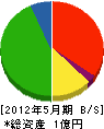 中島建設 貸借対照表 2012年5月期