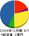 松本電業社 貸借対照表 2009年12月期