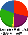 渡辺住宅設備 貸借対照表 2011年5月期