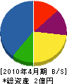 タケコシ 貸借対照表 2010年4月期 タケコシ 貸借対照表 2010年4月期