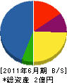 丸井工業 貸借対照表 2011年6月期