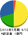 川崎建設 貸借対照表 2012年5月期