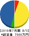 澤田電気 貸借対照表 2010年7月期