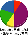マツオ電工 貸借対照表 2009年2月期 マツオ電工 貸借対照表 2009年2月期
