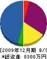 田丸造園建設 貸借対照表 2009年12月期