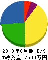 田中塗装 貸借対照表 2010年6月期
