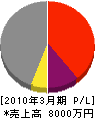 東武建設 損益計算書 2010年3月期 東武建設 損益計算書 2010年3月期