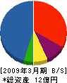 小俣建設工業 貸借対照表 2009年3月期