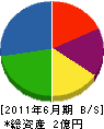 眞崎電工 貸借対照表 2011年6月期