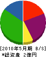 篠原興業 貸借対照表 2010年5月期