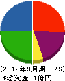 渡辺設備 貸借対照表 2012年9月期