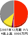 平成建工 損益計算書 2007年12月期