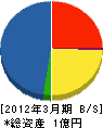 千葉精工エンジニアリング 貸借対照表 2012年3月期