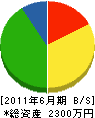 長尾電設 貸借対照表 2011年6月期