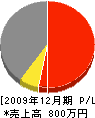 駒木電気工事店 損益計算書 2009年12月期