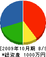昴営繕 貸借対照表 2009年10月期