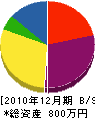 大晃硝子店 貸借対照表 2010年12月期