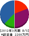 丸山電機商会 貸借対照表 2012年3月期