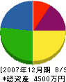 藤田建築 貸借対照表 2007年12月期