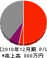 高江洲タタミ店 損益計算書 2010年12月期