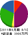 辰巳組 貸借対照表 2011年6月期