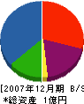 大功 貸借対照表 2007年12月期
