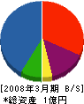 片倉エンジニアリング 貸借対照表 2008年3月期