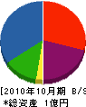 平塚工務店 貸借対照表 2010年10月期