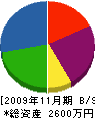坪田庭園 貸借対照表 2009年11月期